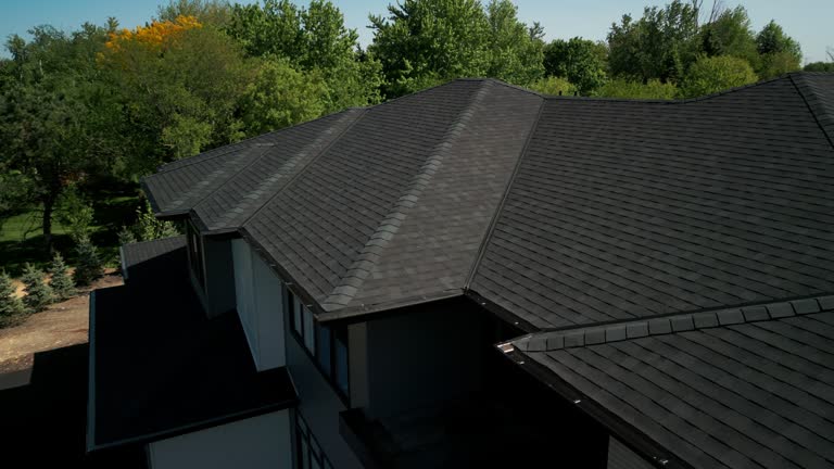 Best Roof Moss and Algae Removal  in Mondovi, WI