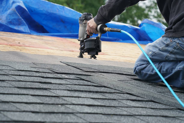 Best Storm Damage Roof Repair  in Mondovi, WI