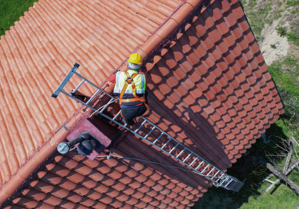 Best Gutter Installation and Repair  in Mondovi, WI