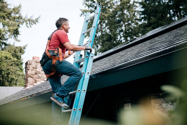 Best Green or Eco-Friendly Roofing Solutions  in Mondovi, WI