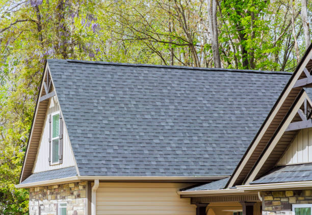 Best Roof Insulation Installation  in Mondovi, WI